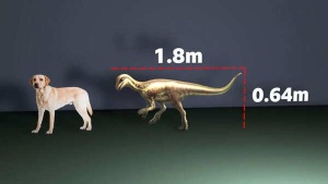 Dog-Sized Dinosaur Fossil Unearths New Insights into Prehistoric Life Alongside Giants
