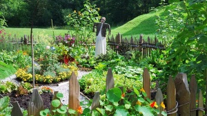 Monsoon Gardening: How to Grow Your Own Kitchen Garden During the Rainy Season