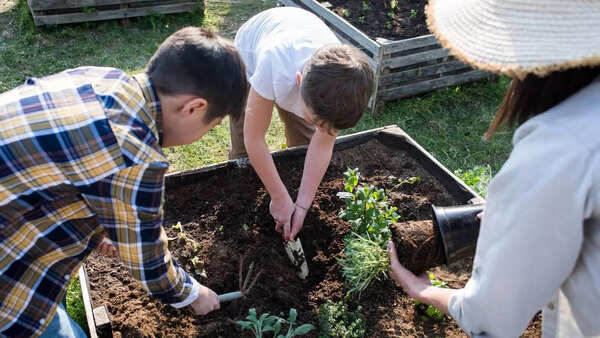 Preparing soil for monsoon planting